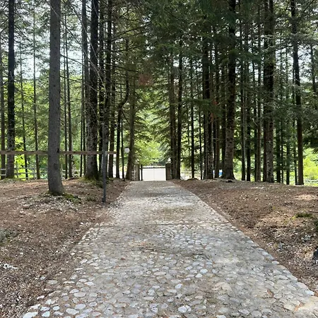 فندق Malga Filippi 1241 *